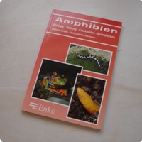 Amphibien